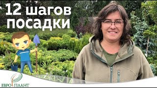 12 шагов посадки.