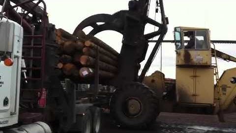 LeTourneau unloading logs