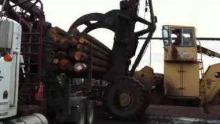 LeTourneau unloading logs