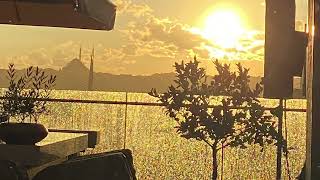 Wallpaper Golden sunset though  rain dropped glass screenshot 1