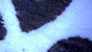 EyeClops BioniCam - printed tyvek