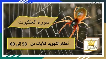 سورة العنكبوت :  شرح للأحكام من 53 إلى 60