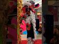 Atraksi barongsai lion dance barongsai lion dance barongsai!!