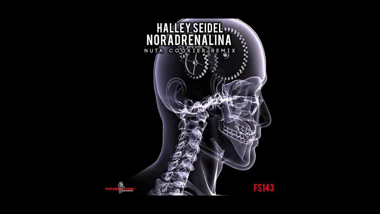 HALLEY SEIDEL - NORADRENALINA
