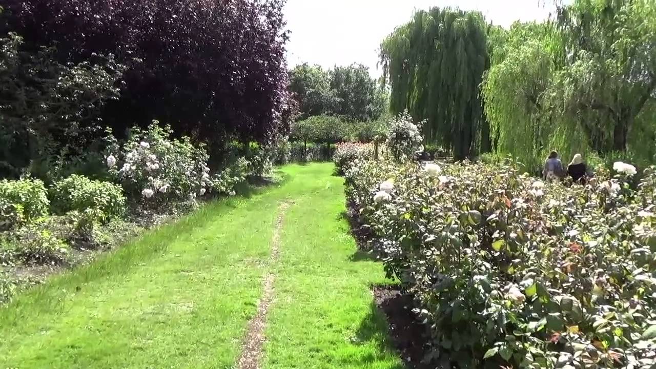 Queen Mary's Rose Gardens at the Regent's Park