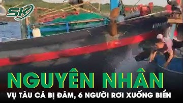 Nguyên Nhân Vụ Tàu Cá Bị Đâm Khiến 6 Người Rơi Xuống Biển | SKĐS