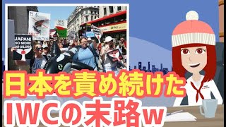 【海外の反応】議長発狂！散々日本を責め続けたIWCが今更慌てだす！脱退する日本に続かないように各国に通告し始める！【スカッと時事】