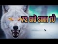72 Giờ Sinh Tử: Sói Mẹ Vượt Bão Tuyết Âm 50 Độ Tìm Con Và Cuộc Trả Thù Đẫm Máu
