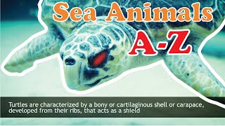Alphabet animals | Learn Sea Animals Names | Educational Fish and Animals for Kids and Toddlers