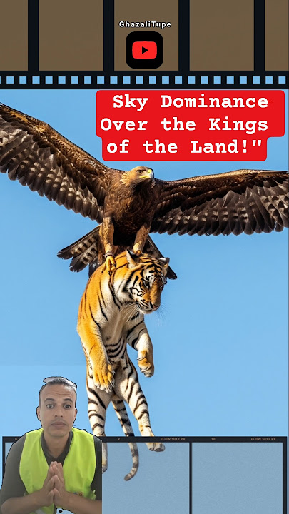'The Golden Eagle 🦅: Sky Dominance Over the Kings of the Land!' #animals #eagles #wildlife #fyp