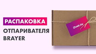 Распаковка — Отпариватель Brayer BR4122