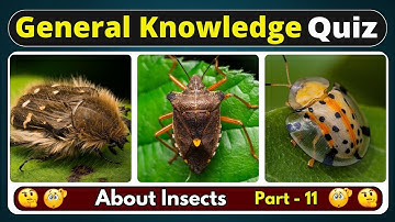 Can You Ace This Insect Quiz? 10 Mind Blowing Gk Questions (Part 11) | Helian GK Quiz