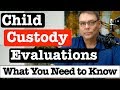 Custody Battles and Child Custody Evaluations