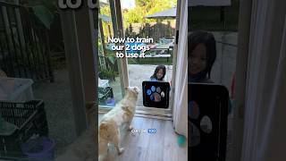 Effective & Quick-to-Install Pet Screen Door, a quick review
