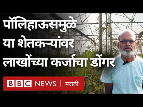 Maharashtra Hi-Tech farming: Polyhouse, Shade net शेती विदर्भात