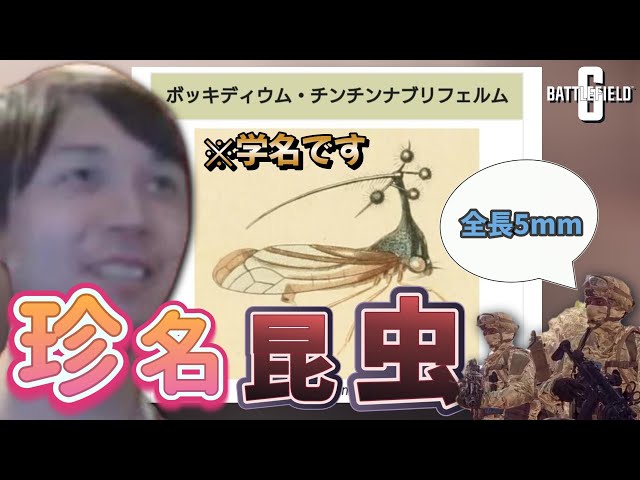 名前をボッ〇ディウム・チン〇ンナブリフェルムにしたらやたら女子に連呼されるダステル【Battlefield 6】【バトルフィールド6】【BF6】【ダステル切り抜き】