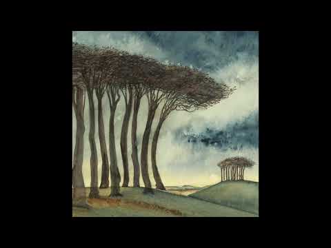 Cosmo Sheldrake - Beech