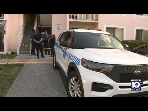 Woman hospitalized after being stabbed multiple times in Miami