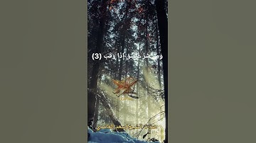 قران كريم سورة الفلق صوت الشيخ / سعد الغامدي #قران_الكريم #قرآن #قرآت #قرآن_كريم #قران