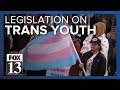 Bill on transgender youth health care heads to Utah governor&#39;s desk