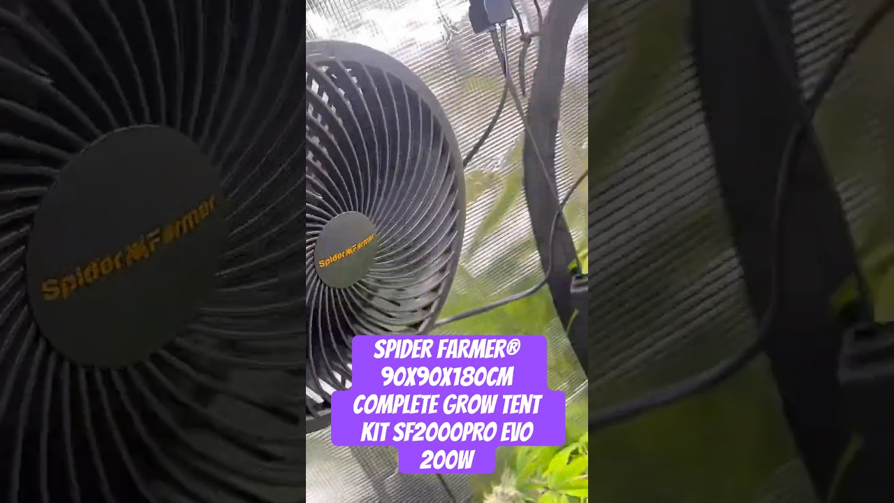 Spider Farmer® 90X90X180cm Complete Grow Tent Kit SF2000PRO EVO 200W  