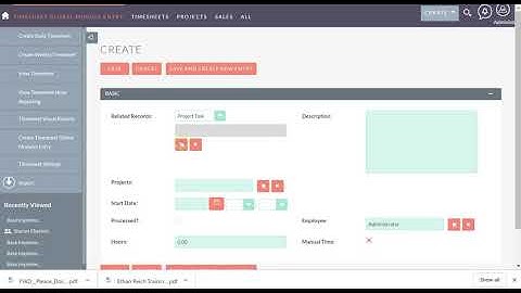 Timesheet Ninja TIme Attendance and Global Entry
