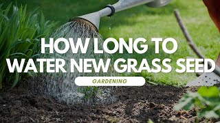 How Long To Water New Grass Seed