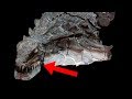 Most UNBELIEVABLE Dinosaur Fossil Discoveries!