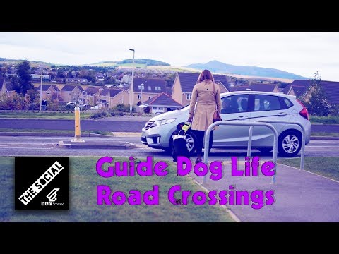 Crossing The Road