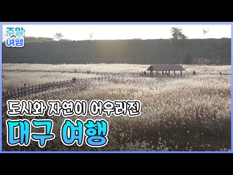 골목마다의 추억이 깃든 매력적인 도심여행, 대구 달서구 여행 [테마기행길]