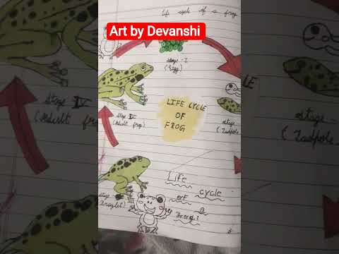 drawing