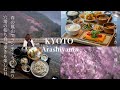 【京都 嵐山】春の嵐山🌸見頃の桜/ランチもカフェも食べ歩きも楽しむ日/嵐山 観光/京都旅行/kyoto trip