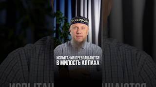 ИСПЫТАНИЯ ПРЕВРАЩАЮТСЯ В МИЛОСТЬ АЛЛАХА #апмрф #ислам #религия