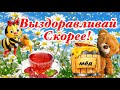 Выздоравливай Скорее! 🍯 ☕️ С Добрым Утром! Добрый Вечер! Красивая Музыкальная Открытка Пожелание!