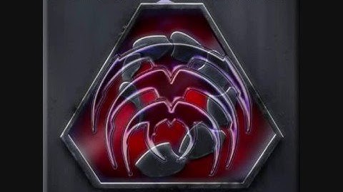 The Xploder Strategies Updates: Week 2