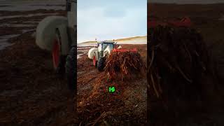 De boer die met zijn tractor de zee in rijdt