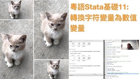 粵語Stata基礎11: 轉換字符變量為數值變量