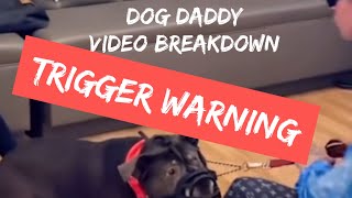 TRIGGER WARNING: Dog Trainer Analysis & Breakdown of Dog Daddy Video