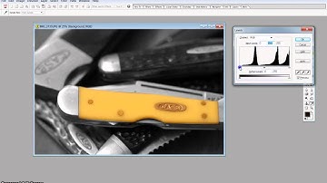 COLOR POP to Black and White Photo Tutorial PS Elements 2.0