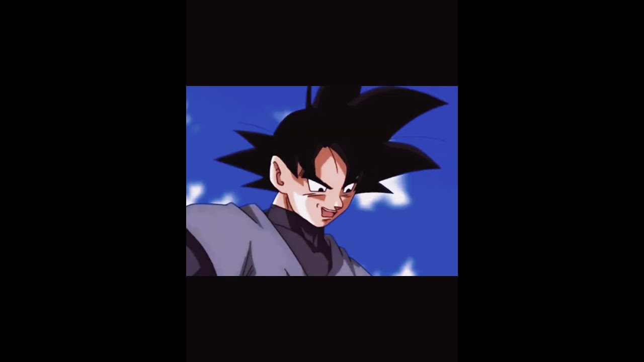 Subarashi - Goku Black 