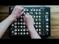 Clair Obscur: Expedition 33 - "Alicia" (Vermona Perfourmer cover)