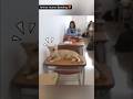 Small Story, Big Heart ❤️ – The Story of College Cat Oscar 🐱 #trending #shortvideo