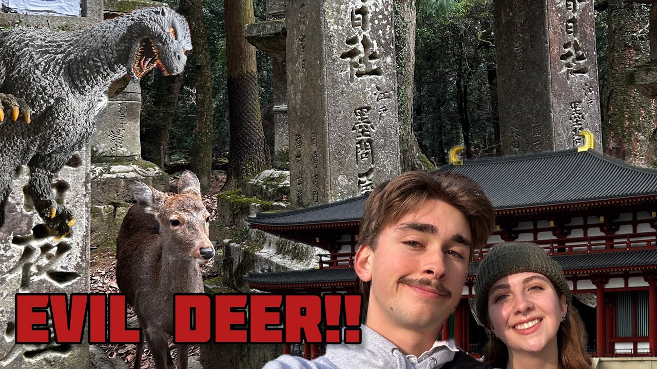 CRAZY DEER | Japan vlog pt 5