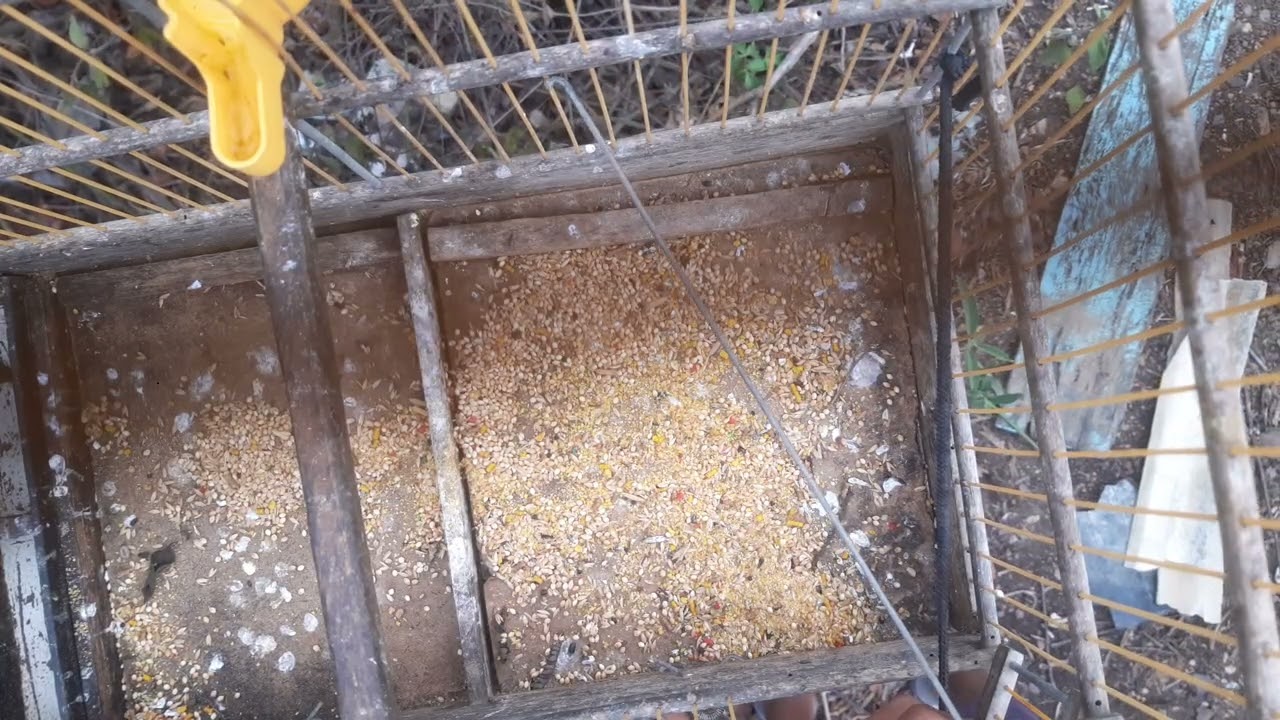 16 de fevereiro de 2026