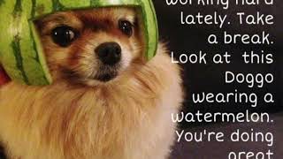 Hump day Humor 😉😂🤣
Hope you enjoy the hump day humor...take time to notice the little things life offers. 🙏🏻🕯🌟😉❤️ Hump day Humor 😉😂🤣