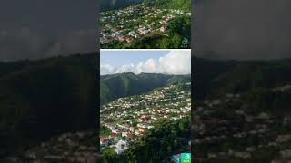 Wall House Dominica Short