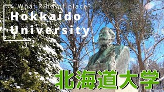 What kind of place is Hokkaido University? A fun way to tour Hokkaido University
