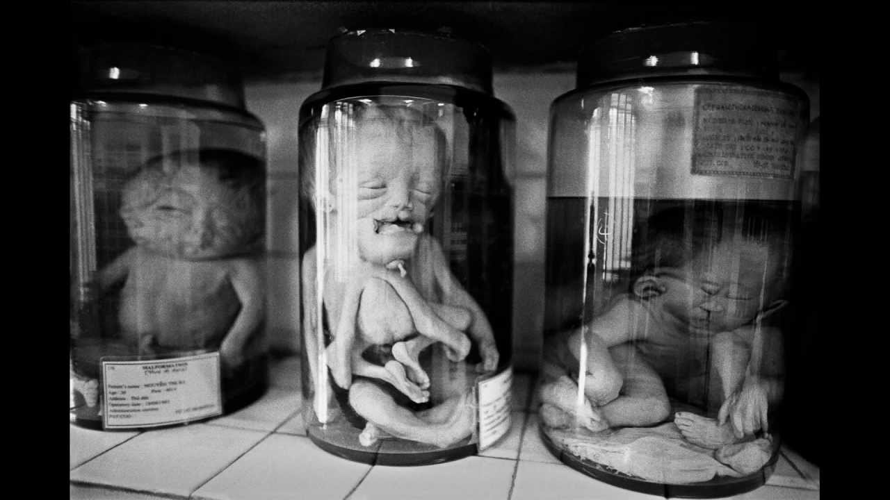 TROLLEYOLOGY | The First Ten Years of Trolley Books - Kickstarter