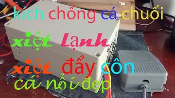 kích chống cá chuối-xiệt đẩy côn trên ruộng- liên lạc 0943455759