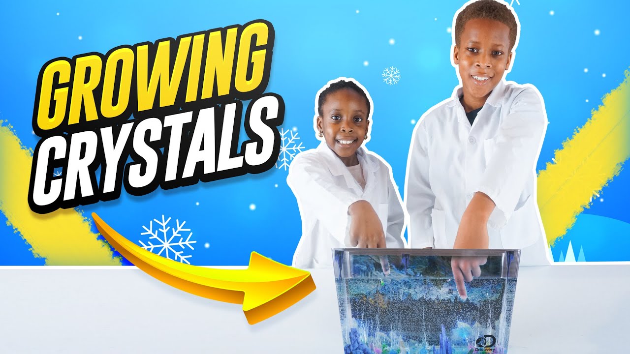 Colorful Crystals Growing Rock | Growing Rocks STEM